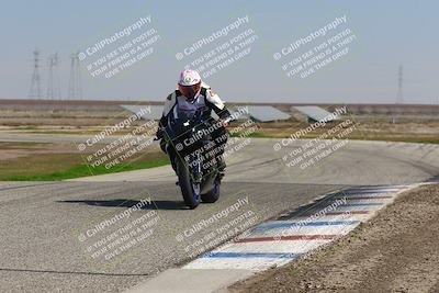 media/Feb-21-2025-Lets Ride (Fri) [[f483f33afd]]/B Group/1240pm (Wheelie Bump)/